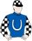 2014 Melbourne Cup Protectionist