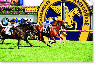 2015 Caulfield Cup