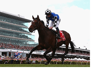 Protectionist