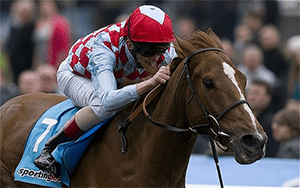 Red-Cadeaux