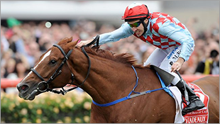 Red Cadeaux