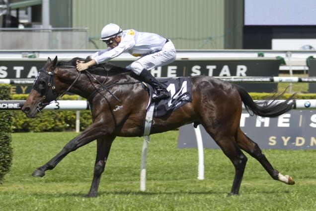 Vancouver-will-contest-the-Todman-Stakes-ahead-of-the-Golden-Slipper-1424242373_n