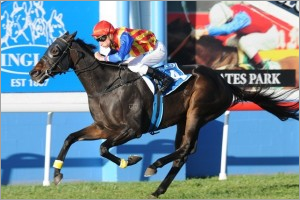 2015 Doncaster Handicap