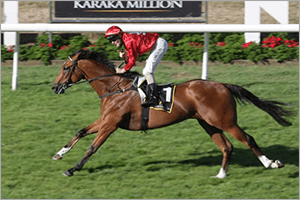The Kiwis staking their Championships claim