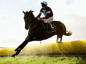 Warrnambool races