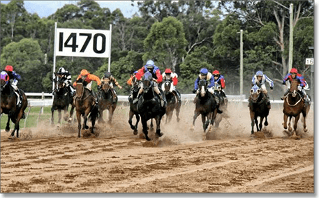 Gympie betting