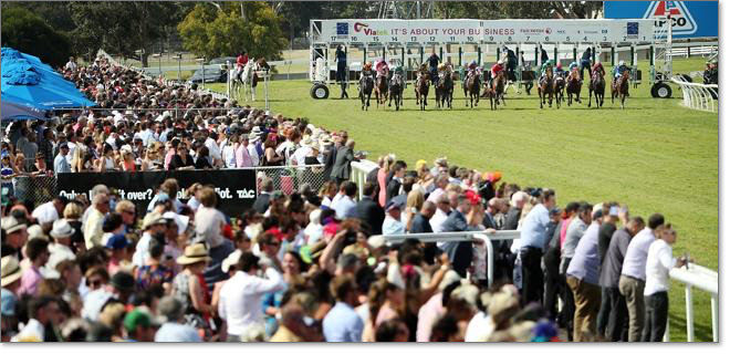 2015 Geelong Cup