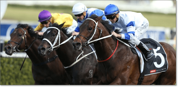 2015 Cox Plate