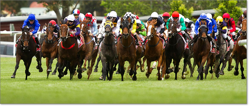 Melbourne Cup 2015