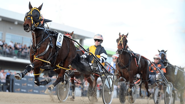 Race-fixing fears for harness racing following Victorian arrests