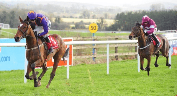 Wicklow Brave