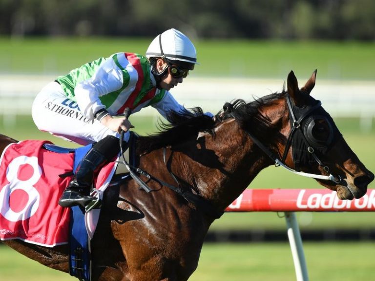 Empire In Line For Flemington Honours | Racing Online