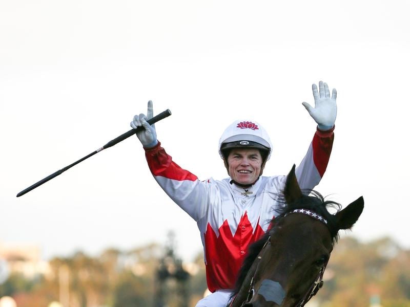 Gallops_Williams_4-3_14381326_1875470_20180708170741e555f51-e89d-4c1f-9c47-e4278f0e4ecd.jpg_sd_800x600.jpg