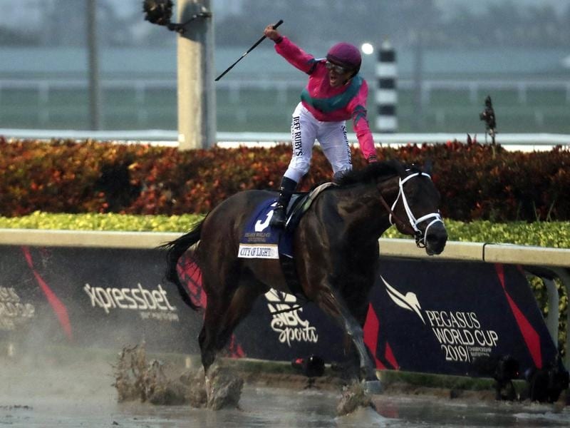 City Of Light Wins 9 Million Pegasus Cup Racing Online