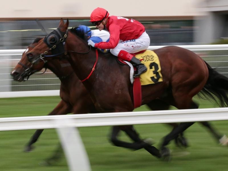 Caulfield_Iconoclasm_4-3_16176790_1940337_20190427170436be45d1c1-8c29-4ea0-89be-7268a70dddb8.jpg_sd_800x600.jpg