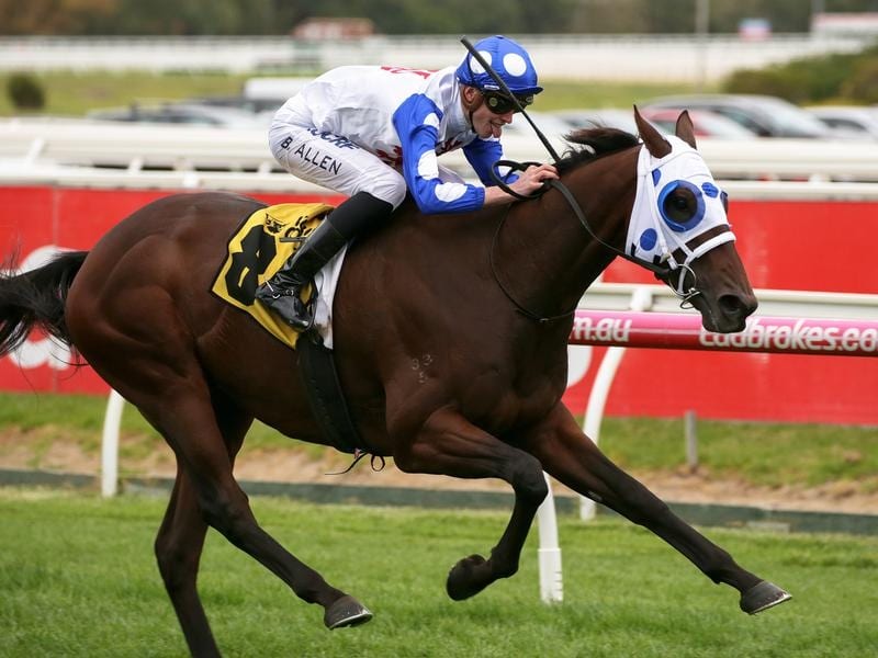 Mr Quickie Spot On For G1 Sa Derby Assault