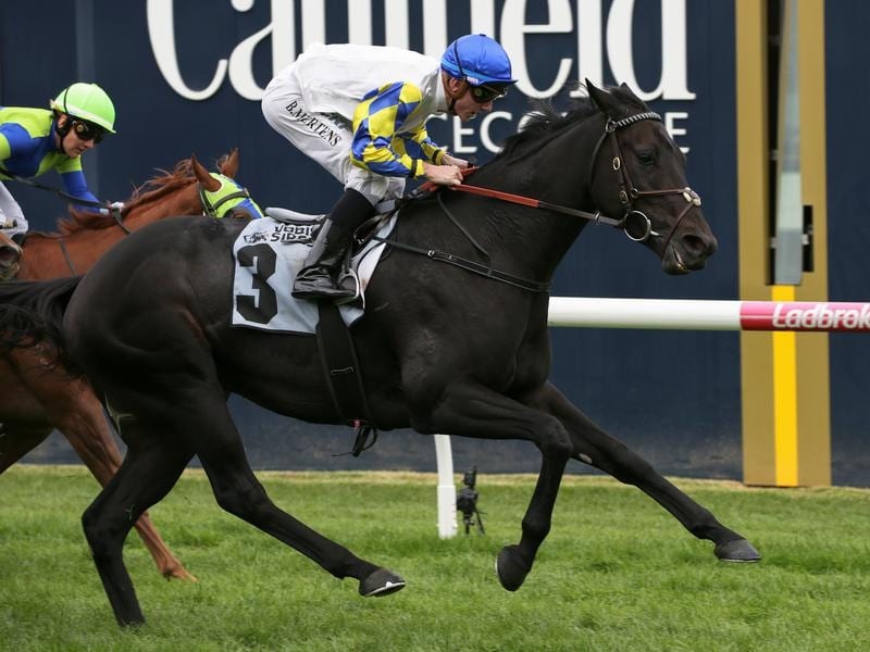 Promising Tarwin Wins Again At Caulfield