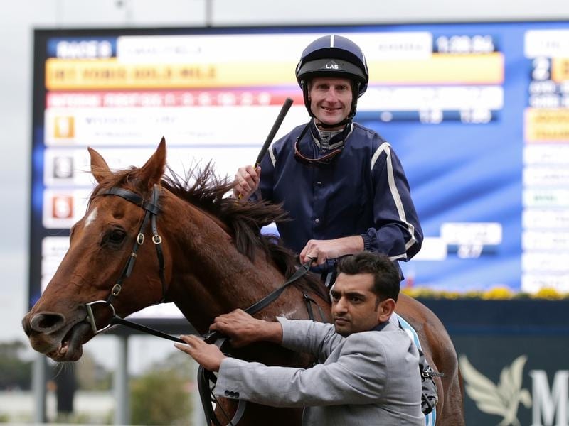 Widgee Turf Too Strong In Vobis Gold Mile