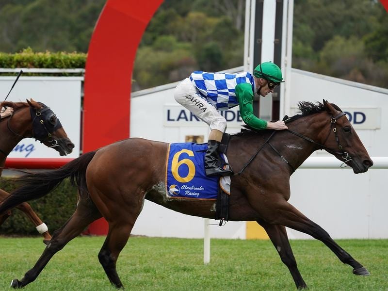 Fillies Can Press Claims For Sa Features