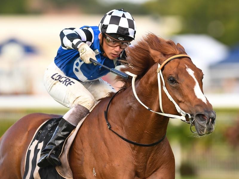 Doomben_Hallelujah_4-3_16132989_1939063_2019042014042060583e11-29fe-4806-a78c-cacc357113a3.jpg_sd_800x600.jpg