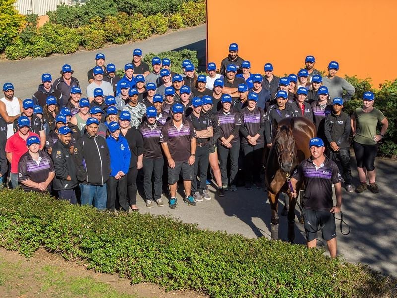 Winx The Autumn Star For The Final Time