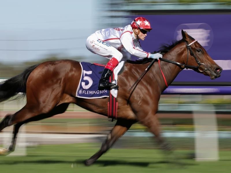 Spring Aims For Unbeaten Filly Chaillot