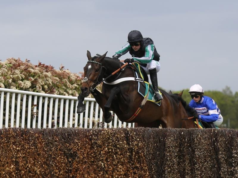 Jumper Altior Stars Again At Sandown