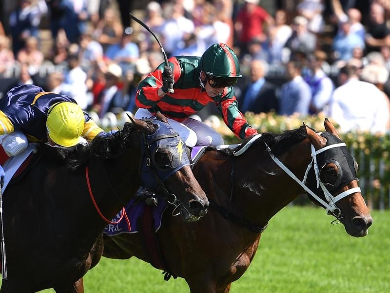 The Autumn Sun To Stand For $77,000
