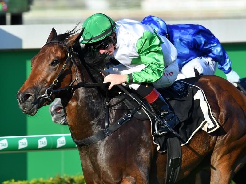 Outback Barbie To Race In Blinkers