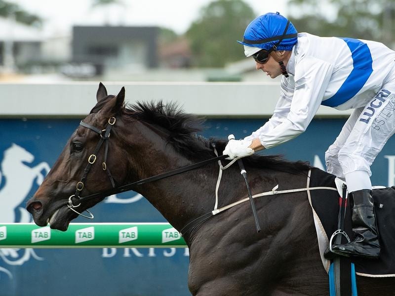 Gallops_Brisbane_Winter_4-3_16179787_1940409_2019042808040d3c2958b-cf5c-43f9-9a91-7187eaac240c.jpg_sd_800x600.jpg