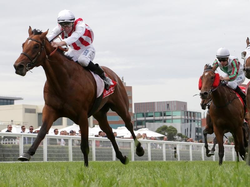 Super Seth Set For Anzac Day Stakes