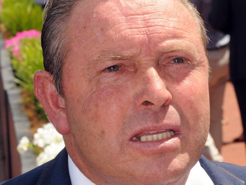 Stars Of Carrum Chasing Vrc St Leger Win