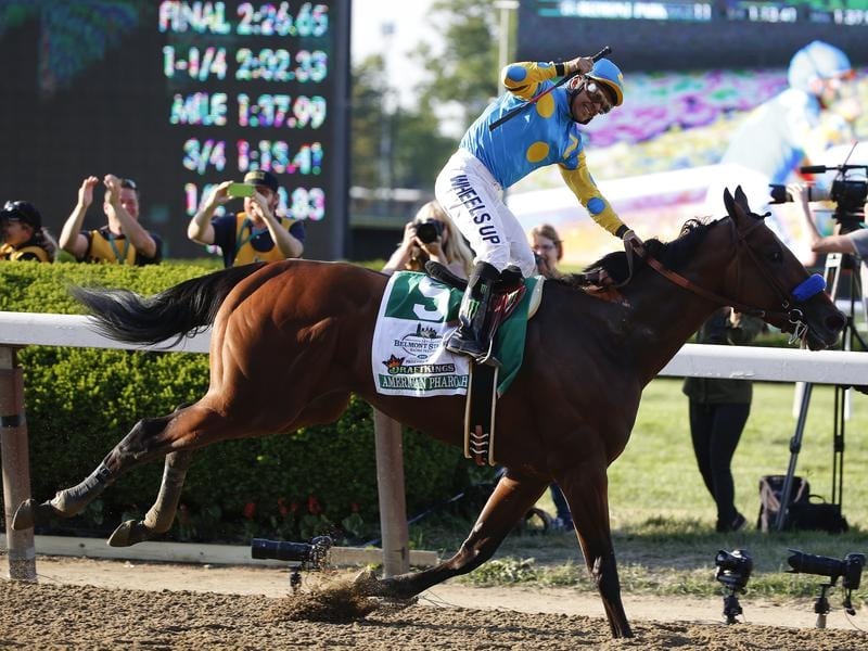 Gallops_Pharoah_4-3_16136497_1939199_2019042111044087ce516d-4051-4dba-bdab-f6ce2a050594.jpg_sd_800x600.jpg