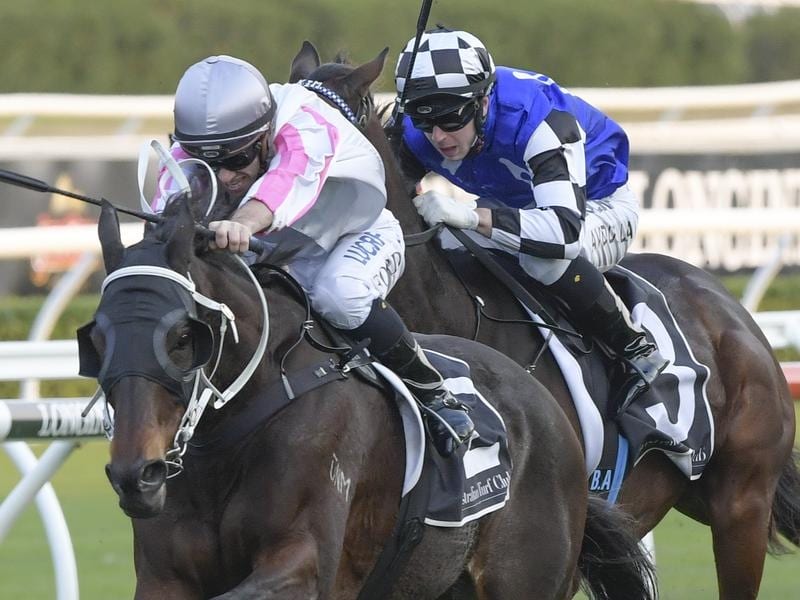 Destiny’S Kiss To Return In Scone Cup