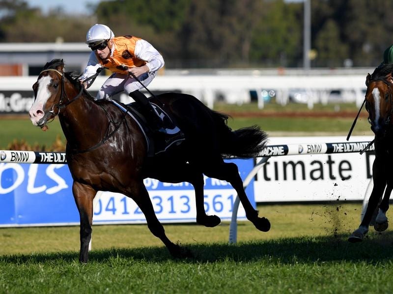 Menari To Gallop At Warwick Farm