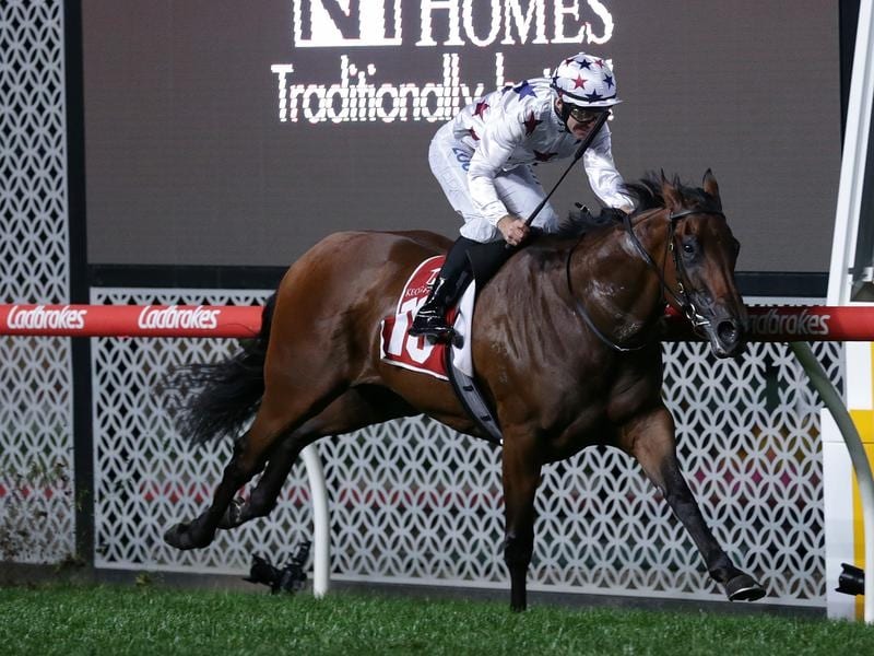 Sunlight Second To Stablemate In Trial