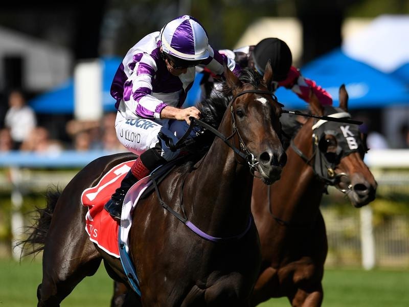Promising 3yo Ef Troop Back In Business