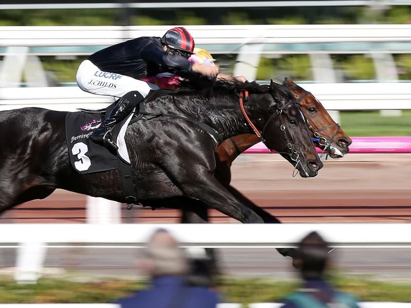 Galaxy Raider Set For Flemington Return