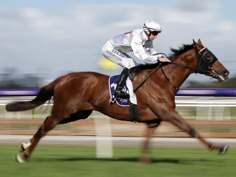 Flemington_Ridegewood_4-3_16222069_1941732_201905041505425752caa-83f2-44ea-b56d-3bc74354f78a.jpg_sd_800x600.jpg