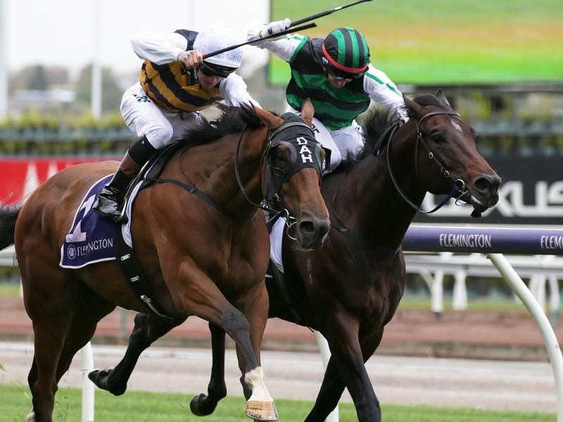 Fastnet Tempest Survives Protest To Win