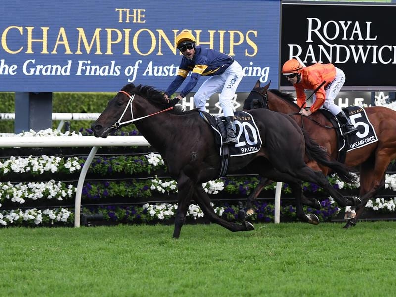 Newgate Secures Stake In Doncaster Winner