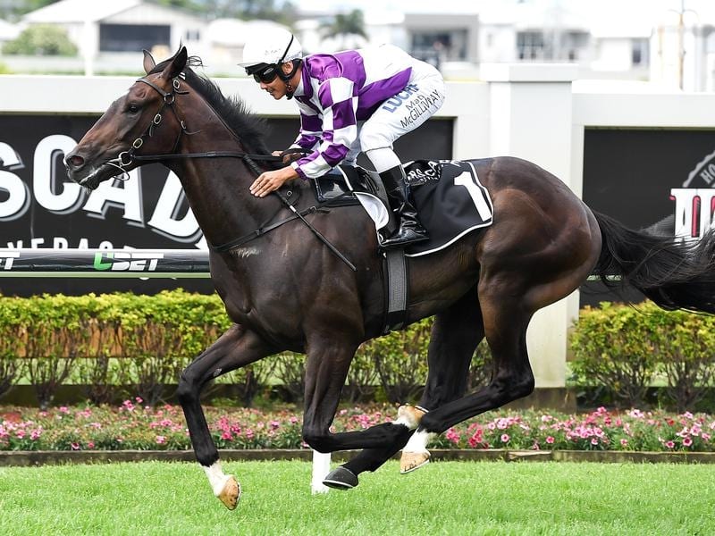 Tony Gollan Considers Options For 3yos