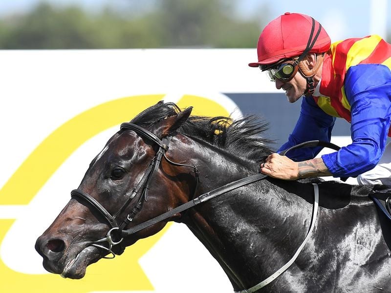 Pierata To Stay In Training For Everest