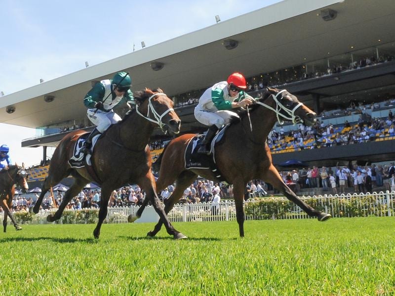 Berry Guides Abdon To Wagga Gold Cup Win