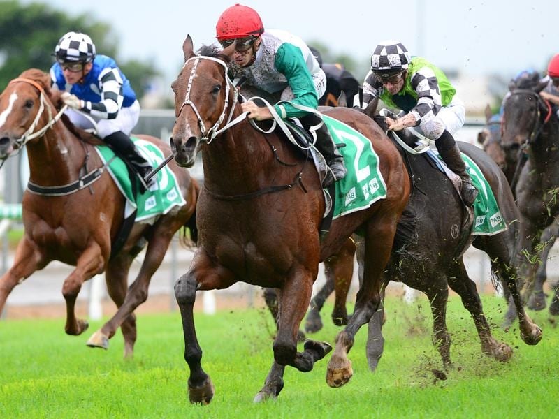 Life Less Ordinary Takes Hollindale Stakes