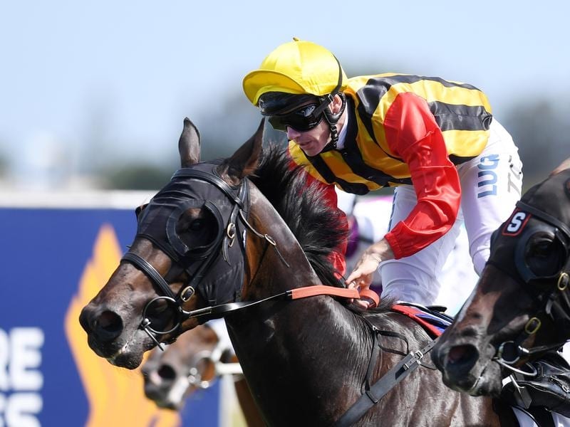 Boomsara To Add To Gold Coast Record