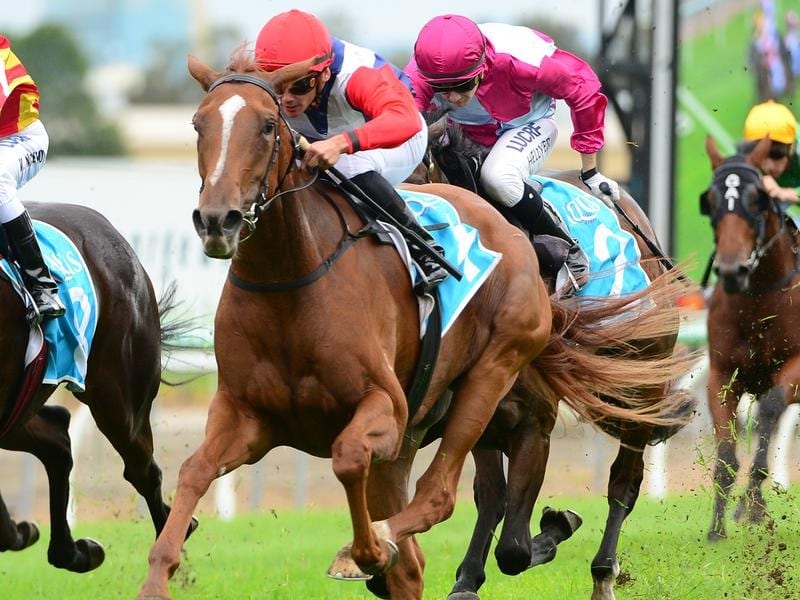 Gary Newham Finds Winning Ways In Bracelet