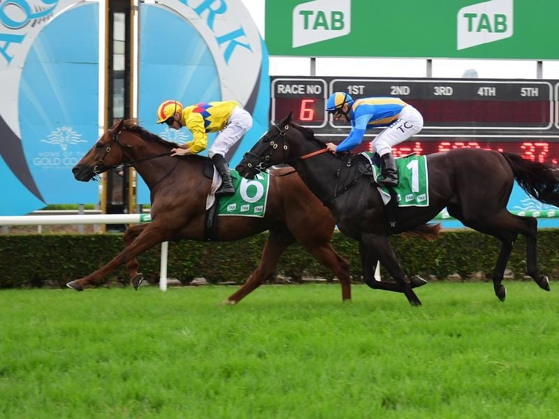 Coldstone Lifts Gollan Spirits In Cup Win