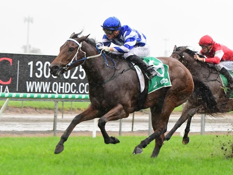 Pennino Delivers A Gr 3 Guineas Boilover