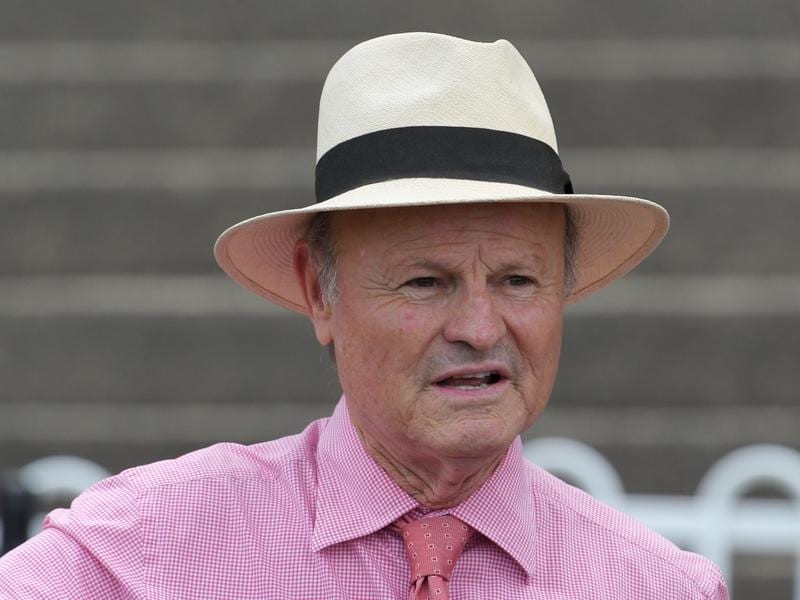 Randwick_Preview_4-3_16215303_1941574_201905031705163ec37402-967b-4c6f-bc97-a79e7dc71d91.jpg_sd_800x600.jpg